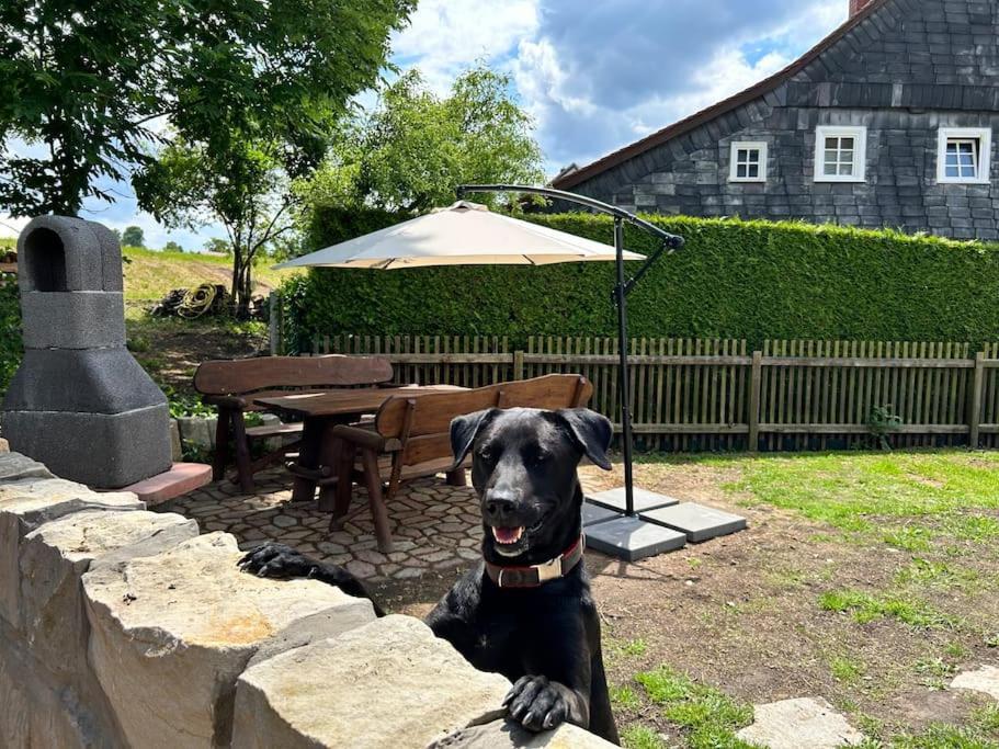 Ferienhaus Hexe Mit Whirlpool, Sauna, Garten Villa Großschönau Eksteriør bilde