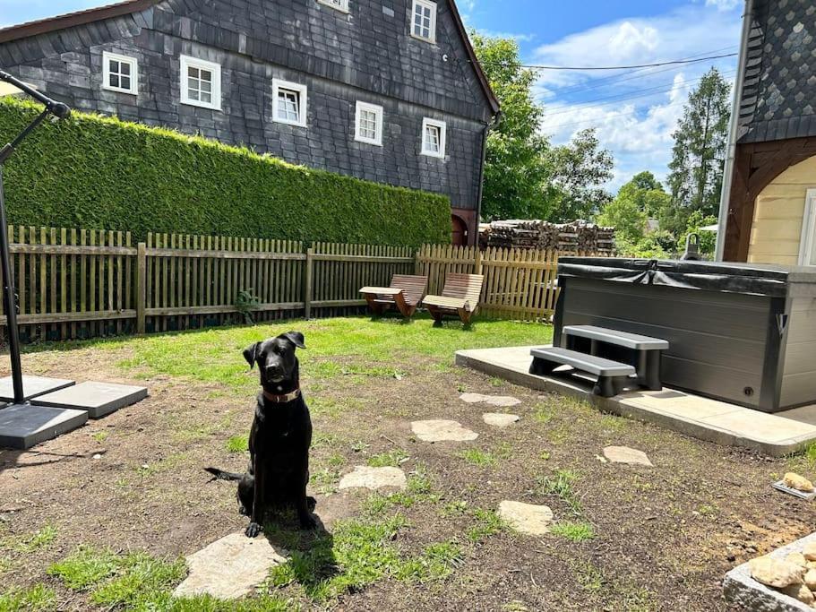 Ferienhaus Hexe Mit Whirlpool, Sauna, Garten Villa Großschönau Eksteriør bilde